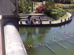 -南宁南湖公园