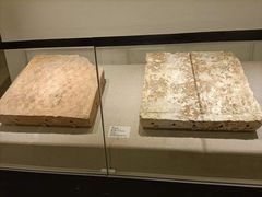 -南越王博物院(王宫展区)