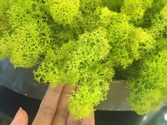 -蒙小妹骨汤饭.米线(新光路店)