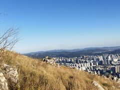 -长虫山生态公园风景林