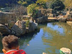 -东湖落雁景区