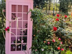 -人民公园(罗湖区)