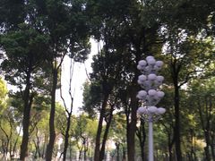 -重庆市江北嘴中央商务区中央公园