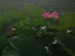 -北京政法职业学院(大兴校区)