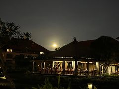 -Rock Bar Bali(Bali)