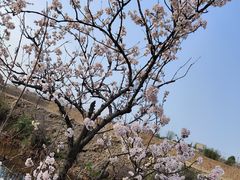 -觅福里•熟成和牛餐厅