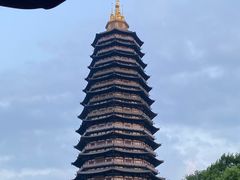 -听松楼·花园酒店·自助餐厅(红梅公园店)