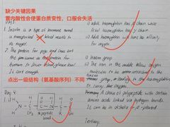 -JT PREP国际学科课程·IB·AP·Alevel(陆家嘴校区)