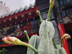 -长安寺
