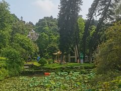 -广州市干部健康管理中心