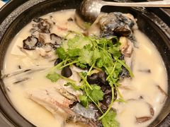 -老淳安—伴山伴湖(千岛湖开元度假村店)