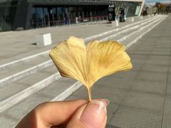 -溢香苑瓦罐(前进路店)