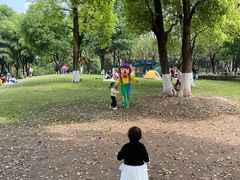 -重庆彩云湖湿地公园