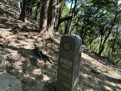 -梧桐山风景名胜区