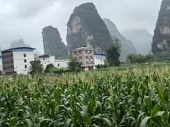 -明仕田园