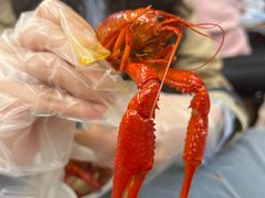 -肥肥虾庄·金牌油焖大虾(东湖欢乐谷店)
