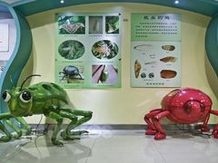 -上海昆虫博物馆
