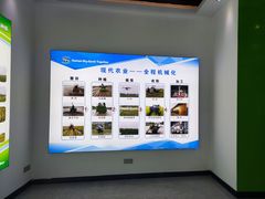 -大通湖
