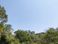 -金鸡山公园