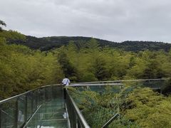 -陶祖圣境风景区