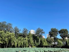 -中国农业博物馆