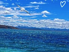 -波哥大埃尔多拉国际机场