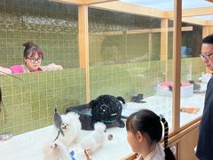 -帕帕拉兹宠物(亚洲旗舰店)