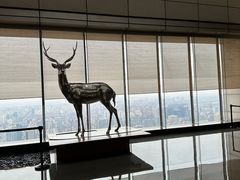 -北京柏悦酒店·锦庭餐厅Dining Room