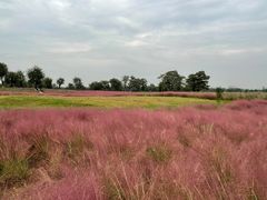 -汉长安城未央宫国家考古遗址公园