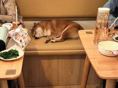 -柴の食堂·日式家庭料理·熊之肆(大学路店)