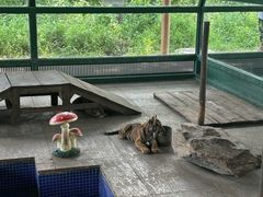 -秦皇岛野生动物园