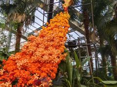 -沈阳植物园