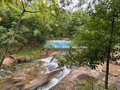 -广州白江湖森林公园