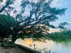 -江心屿景区