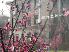 -山东师范大学(千佛山校区)