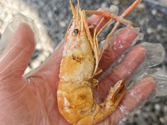 -DGE季风钓虾营地·团建·聚会