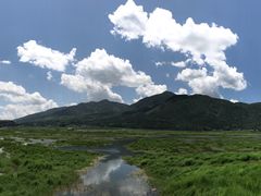 景点-腾冲北海湿地