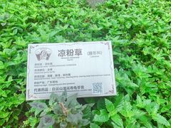 -广州神农草堂中医药博物馆