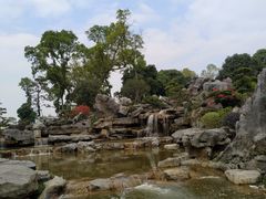 -东莞植物园
