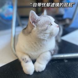 -众刺纹画·纹身·穿孔饰品·海娜定制