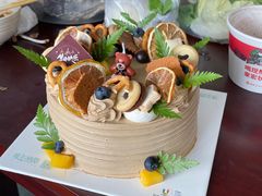 -维尔纳斯·生日蛋糕动物奶油冰淇淋蛋糕(人大店)