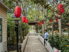 -草根堂农场