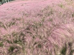 -汉长安城未央宫国家考古遗址公园