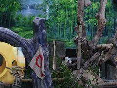 -灵玲国际马戏城