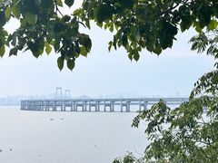 -星海湾跨海大桥