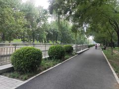 -元大都城垣遗址公园