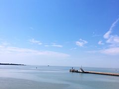 -海安新港(公交站)