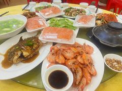 -鸿达渔港