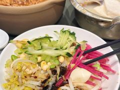 -小吊梨汤·北京菜·烤鸭(鸟巢店)