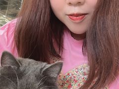 -藏猫猫咖啡主题馆(中央大道店)